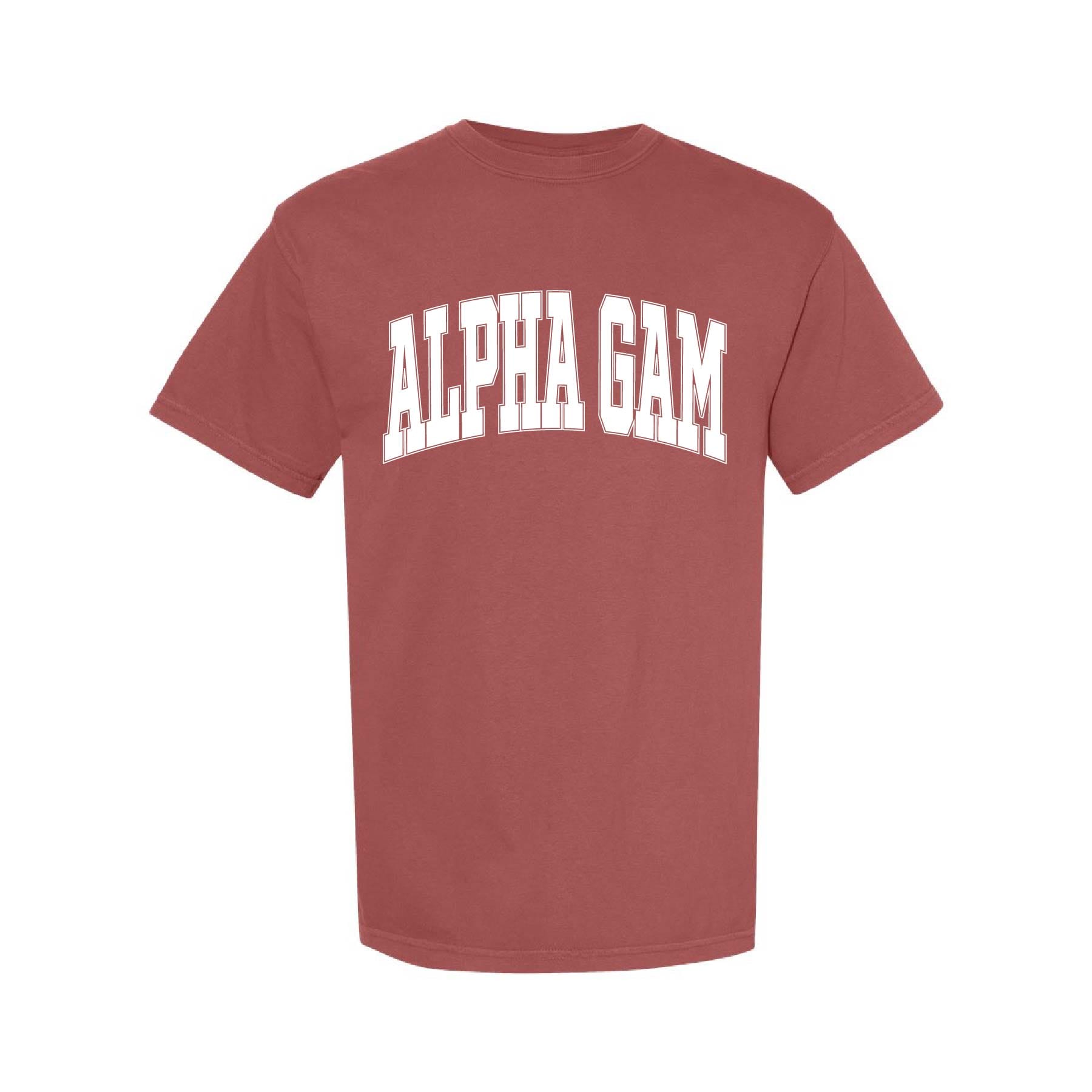 Ali & Ariel Brick Comfort Colors Collegiate Tee Alpha Gamma Delta / Medium
