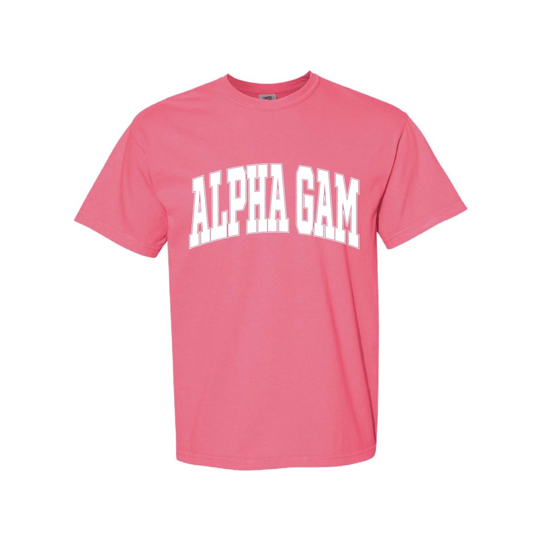 Ali & Ariel Crunchberry Comfort Colors Collegiate Tee Alpha Gamma Delta / Medium