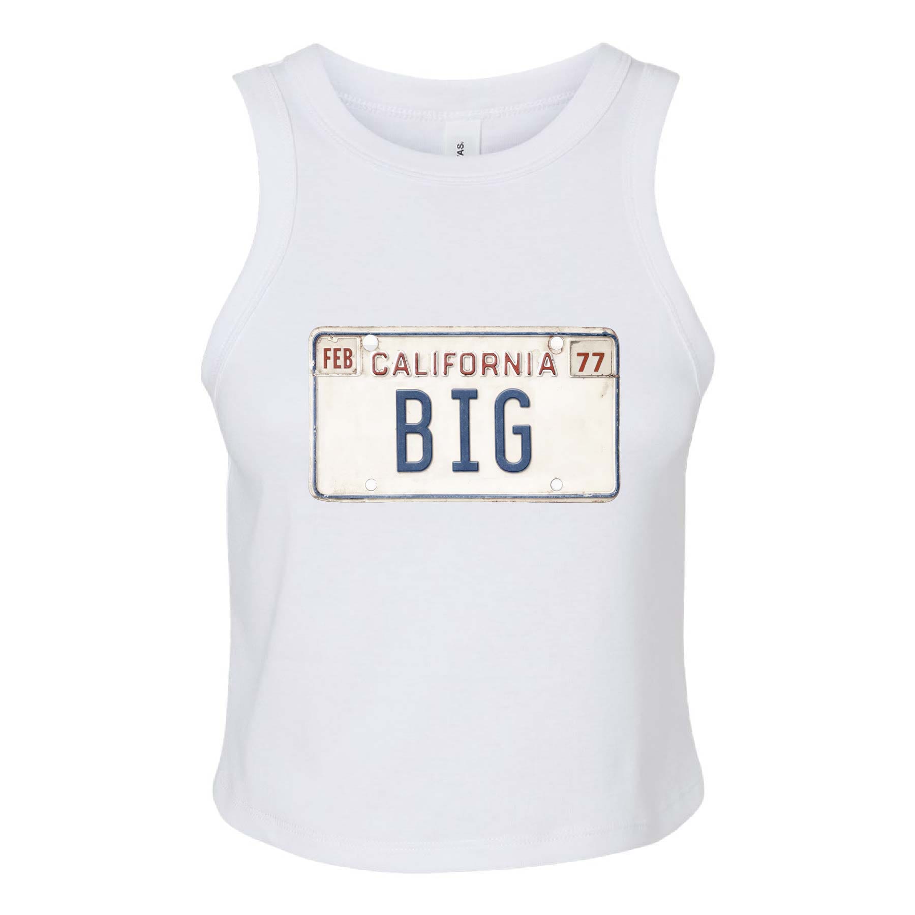 Ali & Ariel License Plate Fam Big / X-Small