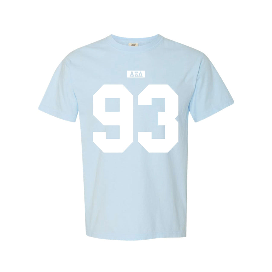 Ali & Ariel Light Blue Varsity Tee Alpha Xi Delta / Medium