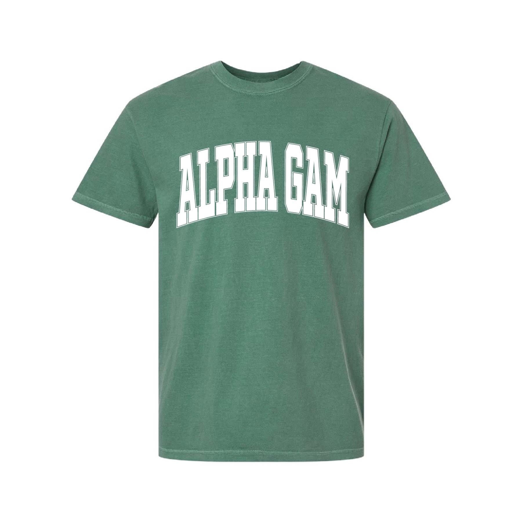 Ali & Ariel Light Green Comfort Colors Collegiate Tee Alpha Gamma Delta / Medium