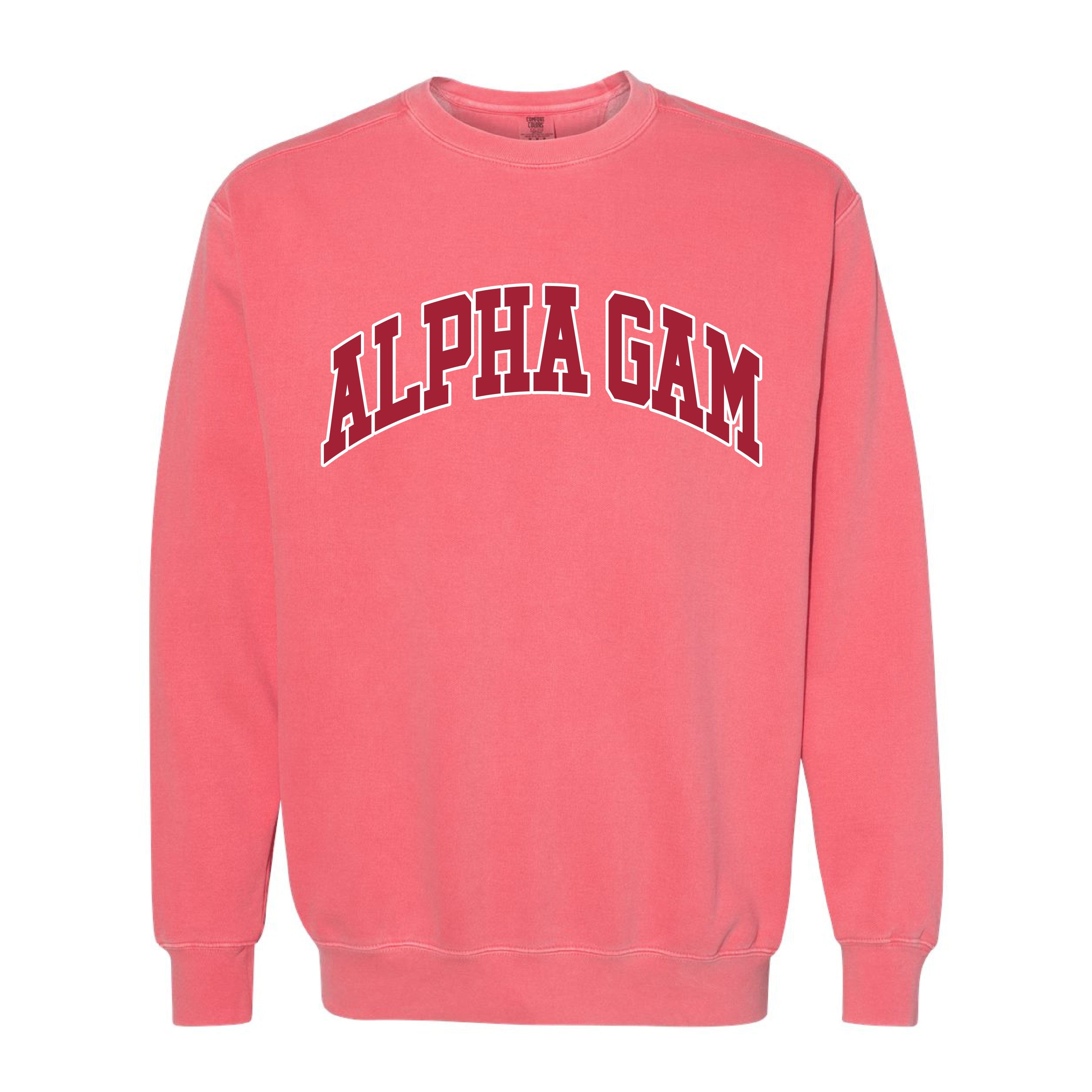 Ali & Ariel Pink Comfort Colors Collegiate Crewneck Alpha Gamma Delta / Medium