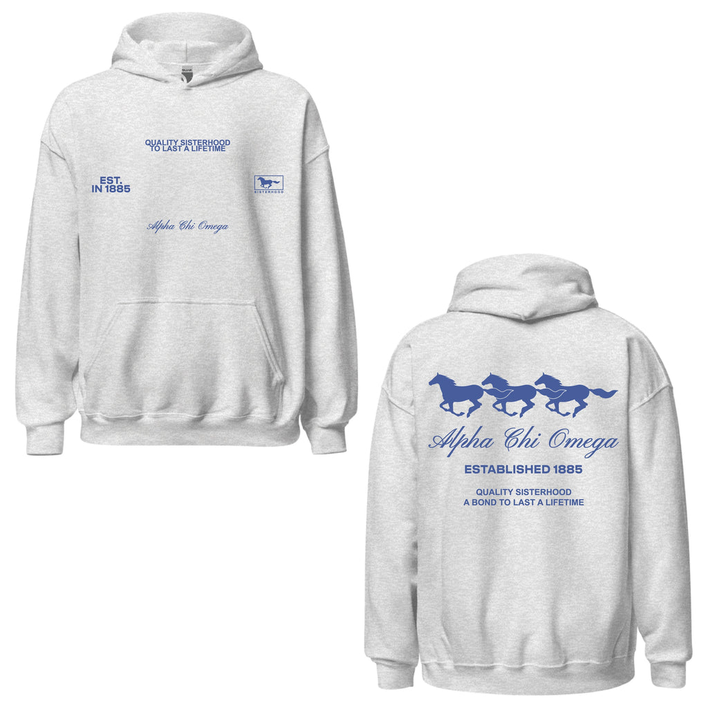 Ali & Ariel Sisterhood Hoodie Alpha Chi Omega / Medium