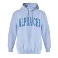 Ali & Ariel Collegiate Baby Blue Hoodie <br> (available for all organizations!) Alpha Chi Omega / XL