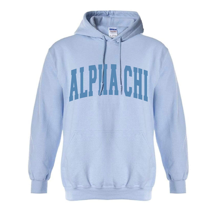 Ali & Ariel Collegiate Baby Blue Hoodie <br> (available for all organizations!) Alpha Chi Omega / XL
