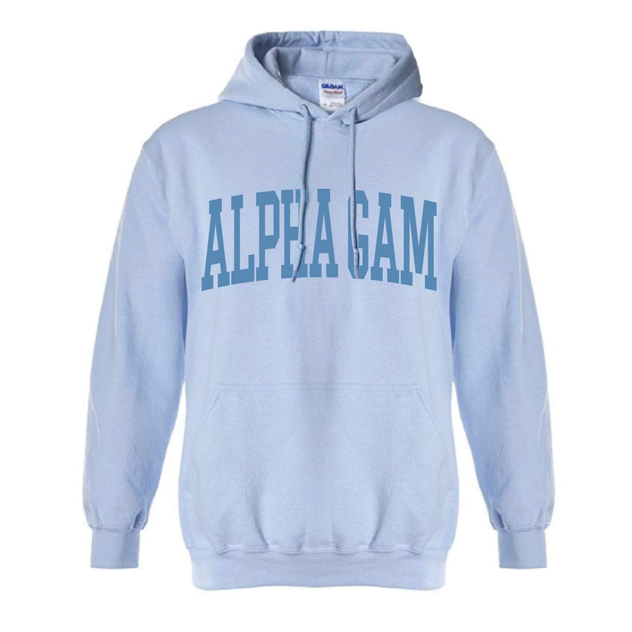 Ali & Ariel Collegiate Baby Blue Hoodie <br> (available for all organizations!) Alpha Gamma Delta / XL