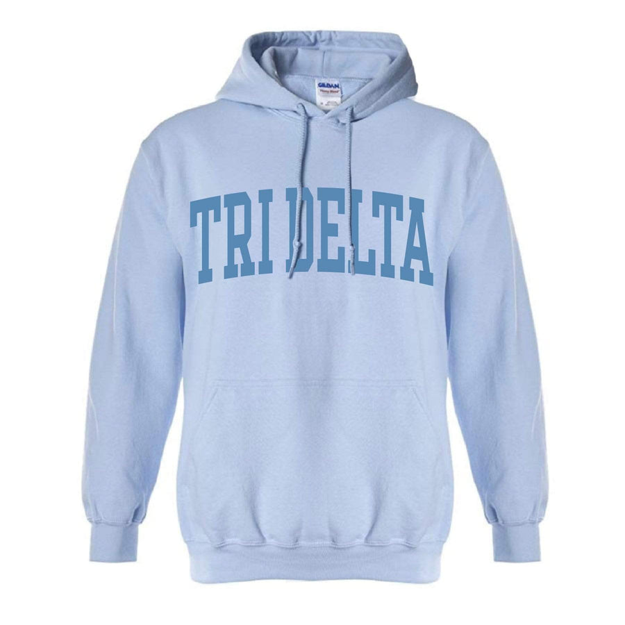 Ali & Ariel Collegiate Baby Blue Hoodie <br> (available for all organizations!) Delta Delta Delta / XL