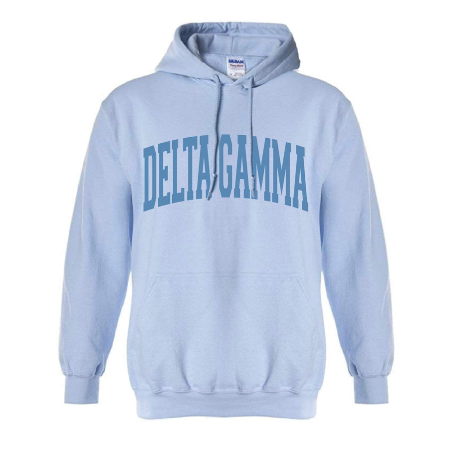 Ali & Ariel Collegiate Baby Blue Hoodie <br> (available for all organizations!) Delta Gamma / XL