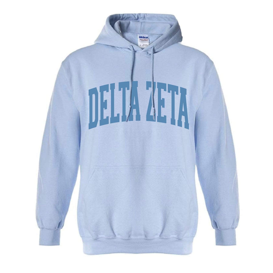 Ali & Ariel Collegiate Baby Blue Hoodie <br> (available for all organizations!) Delta Zeta / XL